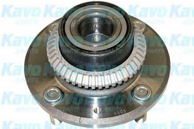 KAVO PARTS wbh5504 -  Комплект подшипника ступицы колеса
